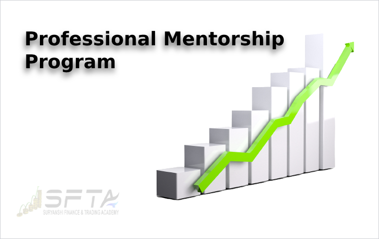 Professional Mentorship Program